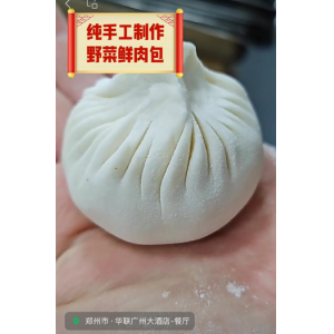 纯手工制作 野菜鲜肉包